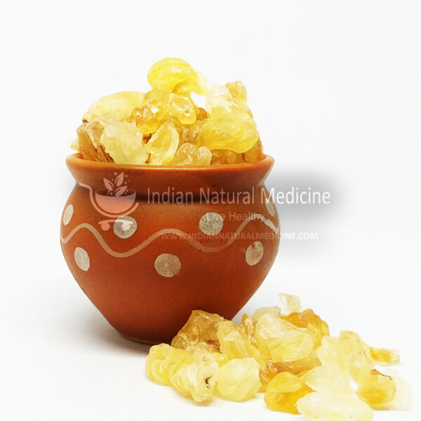 Badam-Pisin-Almond-Tree-Gum