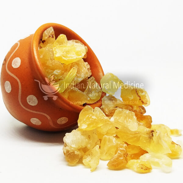 Badam-Pisin-Almond-Tree-Gum