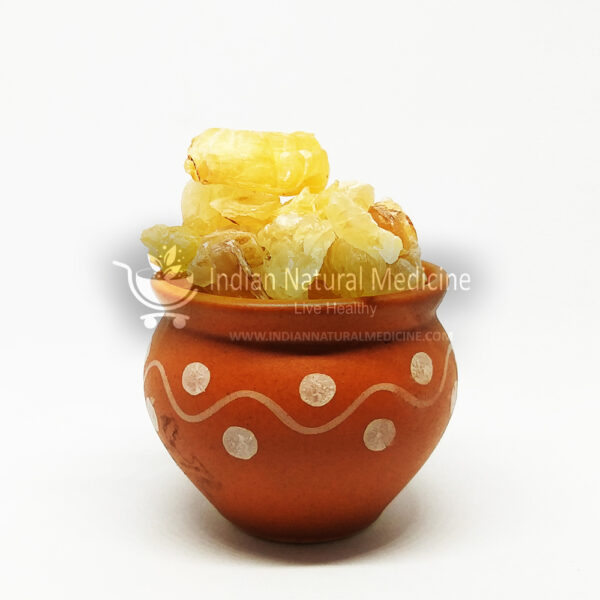 Badam-Pisin-Almond-Tree-Gum