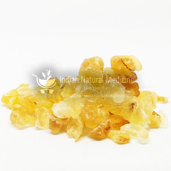 Badam-Pisin-Almond-Tree-Gum