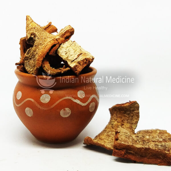 Fig-Bark-அத்தி-பட்டை-Athi-Pattai-अंजीर-Anjeer