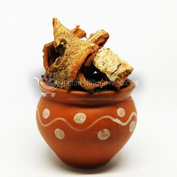 Fig-Bark-அத்தி-பட்டை-Athi-Pattai-अंजीर-Anjeer