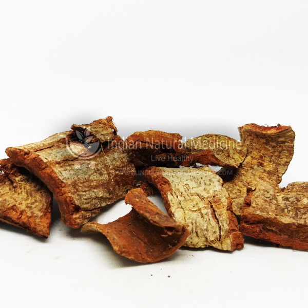 Fig-Bark-அத்தி-பட்டை-Athi-Pattai-अंजीर-Anjeer