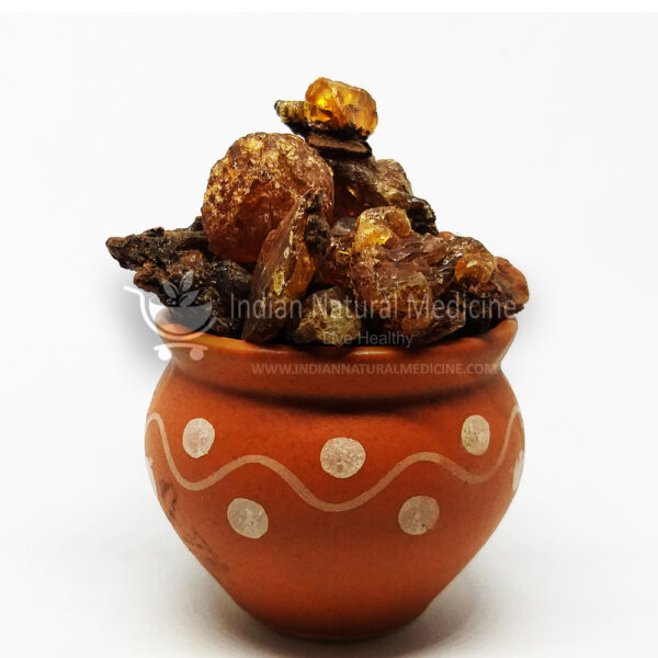 Mesquite-Tree-Gum-கருவேலம்-பிசின்-Karuvelam-Pisin-बाबुल-Babul