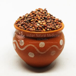 Mullangi Vithai / Radish Seed