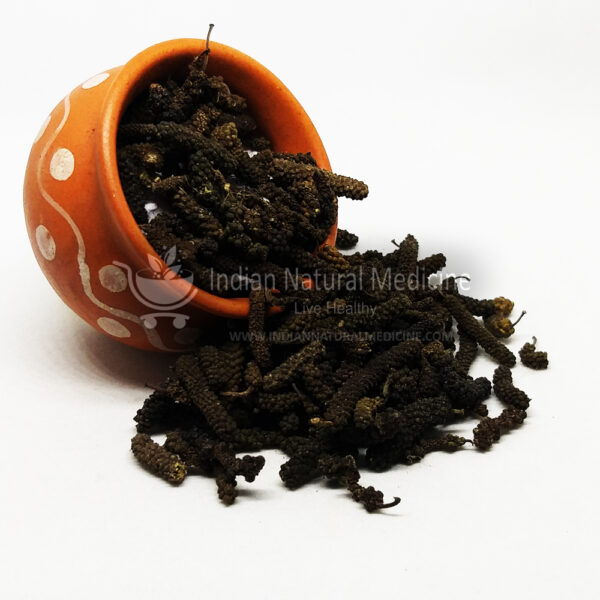 Piper-Longum-Indian-Long-Pepper-ஆதிமருந்து-திப்பிலி-Thippili-Pipara-पिपरा-Kattuthippili-കട്ടുതിപ്പിലി-Pippalu-పిప్పలు