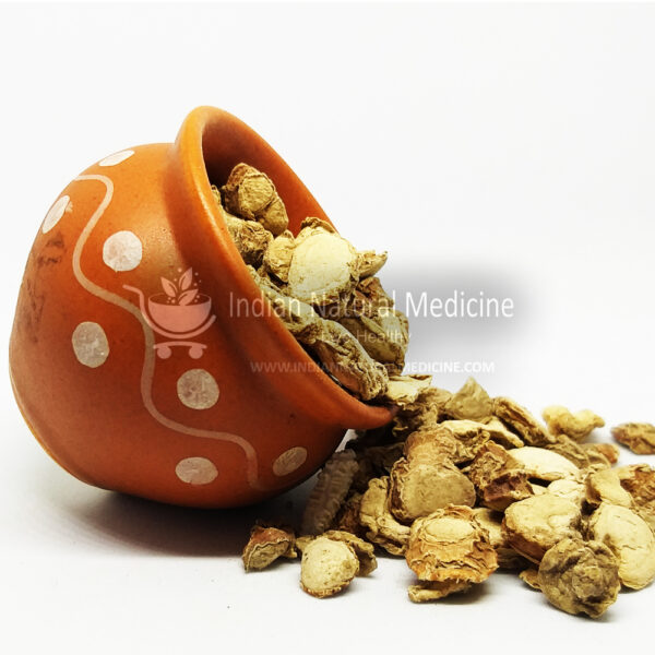 Spiked-Ginger-Lily-Erfume-Ginger-பூலங்கிழங்கு-Poolankilangu-seemai-Kichchili-Kizhangu-कपूरकचरी-संधरलिका-Kapurkachari-Sandharlika