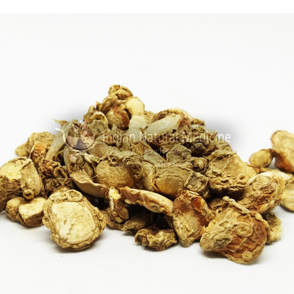 Spiked-Ginger-Lily-Erfume-Ginger-பூலங்கிழங்கு-Poolankilangu-seemai-Kichchili-Kizhangu-कपूरकचरी-संधरलिका-Kapurkachari-Sandharlika