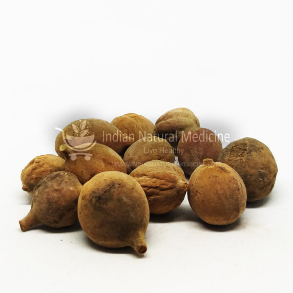 Terminalia-Bellirica-Beleric-தான்றிக்காய்-Thandrikkai-बहेड़ा-Bahera-താന്നിക്ക-Tannikka-తనిక్కాయ-Thanikkaya