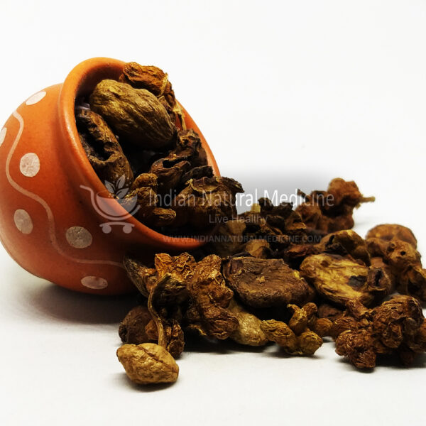 Yellow-Myrobalan-கடுக்காய்-தோடு-kadukai-thodu-हर्रा-Harra