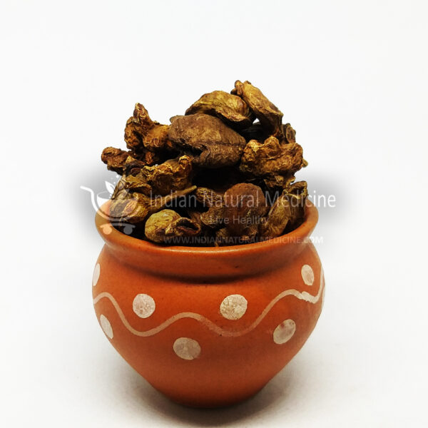 Yellow-Myrobalan-கடுக்காய்-தோடு-kadukai-thodu-हर्रा-Harra