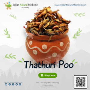 Thathuri Poo - Woodfordia fruticosa - fire flame bush