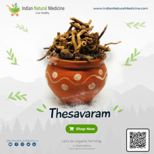 Thesavaram - Modi kattai