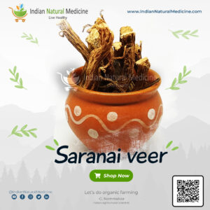 Trianthema Decandra - Horse Purslane Root Dried - சாரணை வேர் - Saranai ver - വെളുത്ത  തഴുതാമ - Vellutha thazhuthama - सालसाबुनि - Salasabuni - Indian Natural Medicine