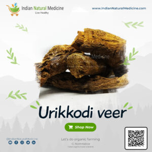 Urikkodi veer - indian natural medicine