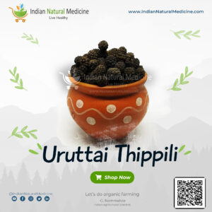 Uruttai Thippili - Indian round Pepper - indian natural medicine