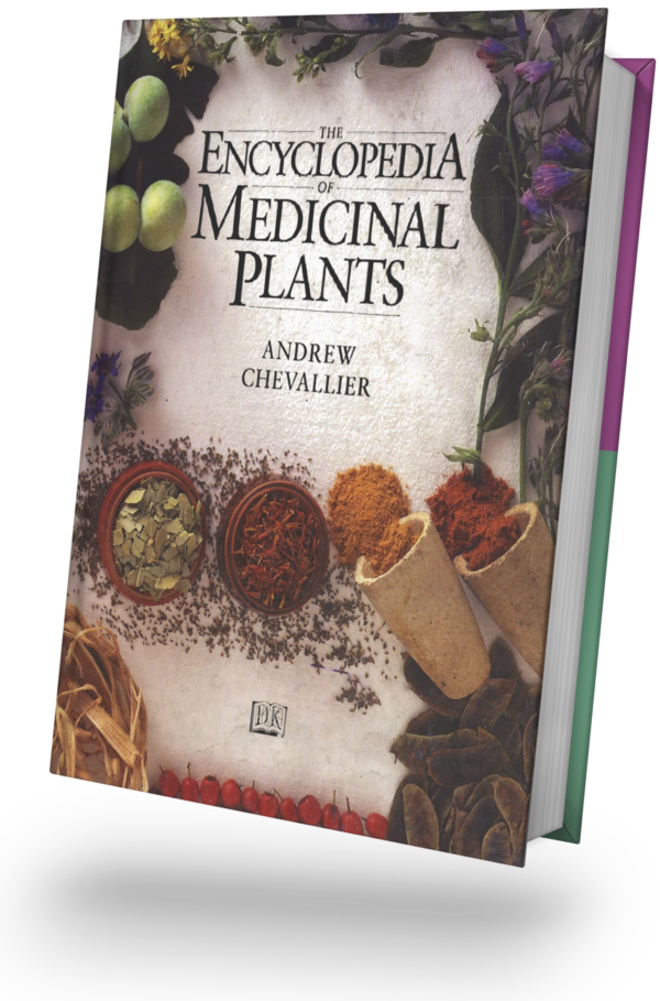 Menthol (Pudina Uppu) Indian Natural Medicine